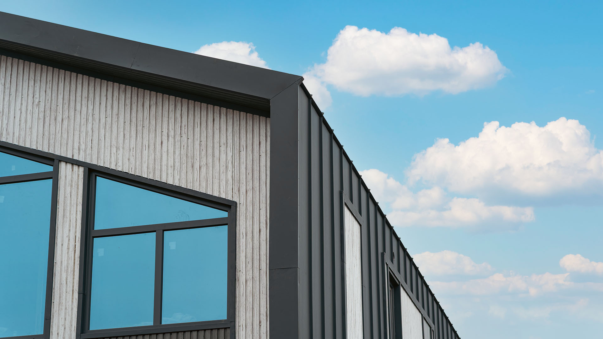 Casă privată în Cimișlia